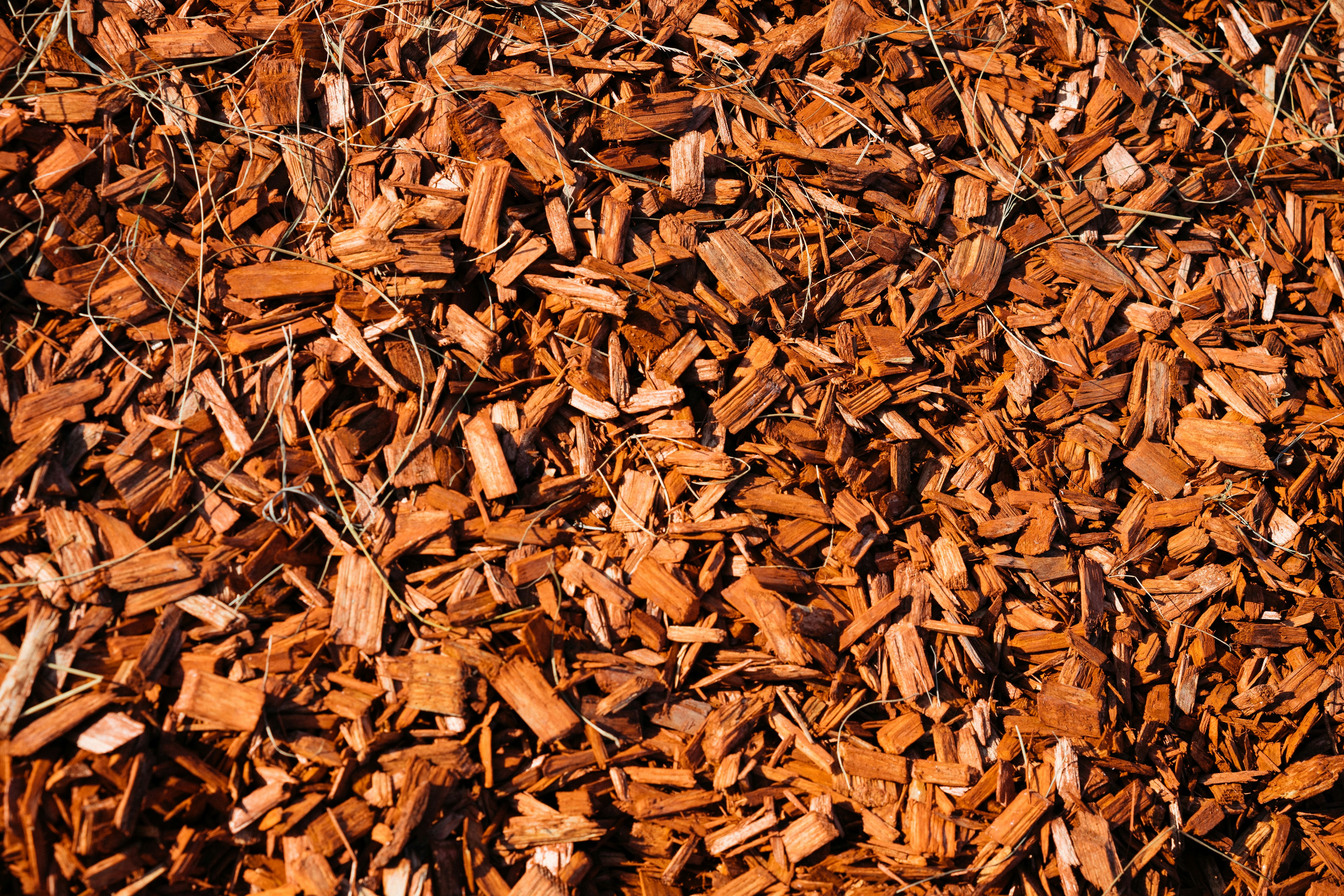 Woodchips from Recycled Pallets