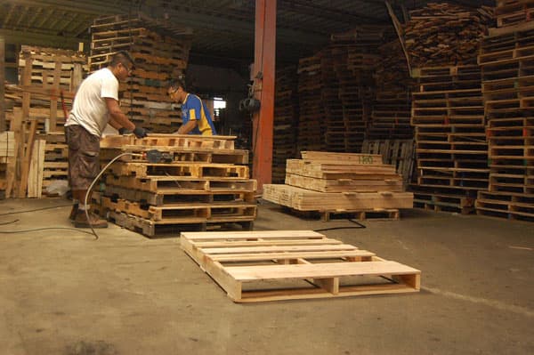 Workers sanding and conditioning pallets
